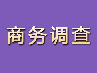 阿勒泰商务调查